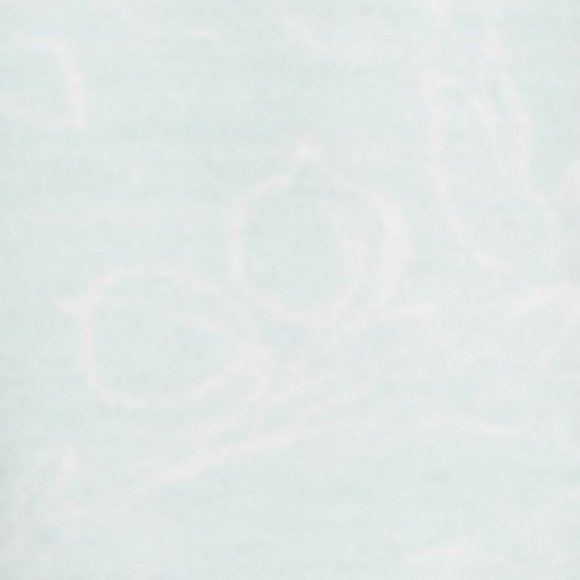 Charter Club Printed Pleat-Front Chemise Nightgown - Picture 2 of 2